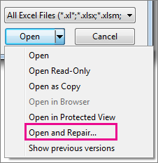 Open Microsoft Excel Worksheet